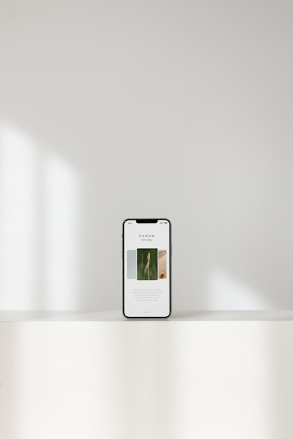 Case Studies: Successful Applications
